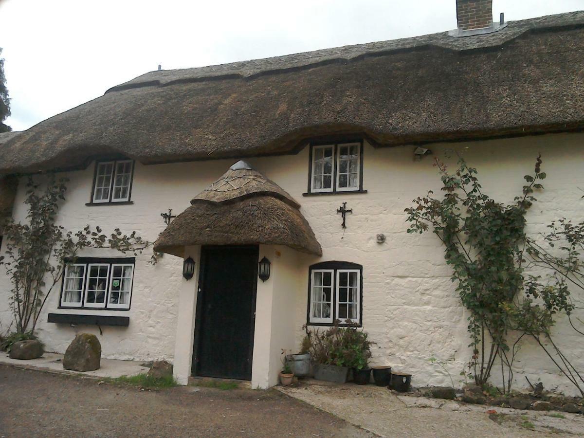 Alvediston The Crown Inn מראה חיצוני תמונה