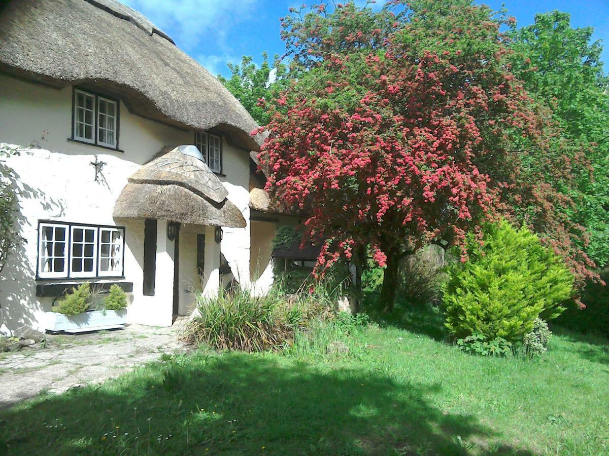 Alvediston The Crown Inn מראה חיצוני תמונה