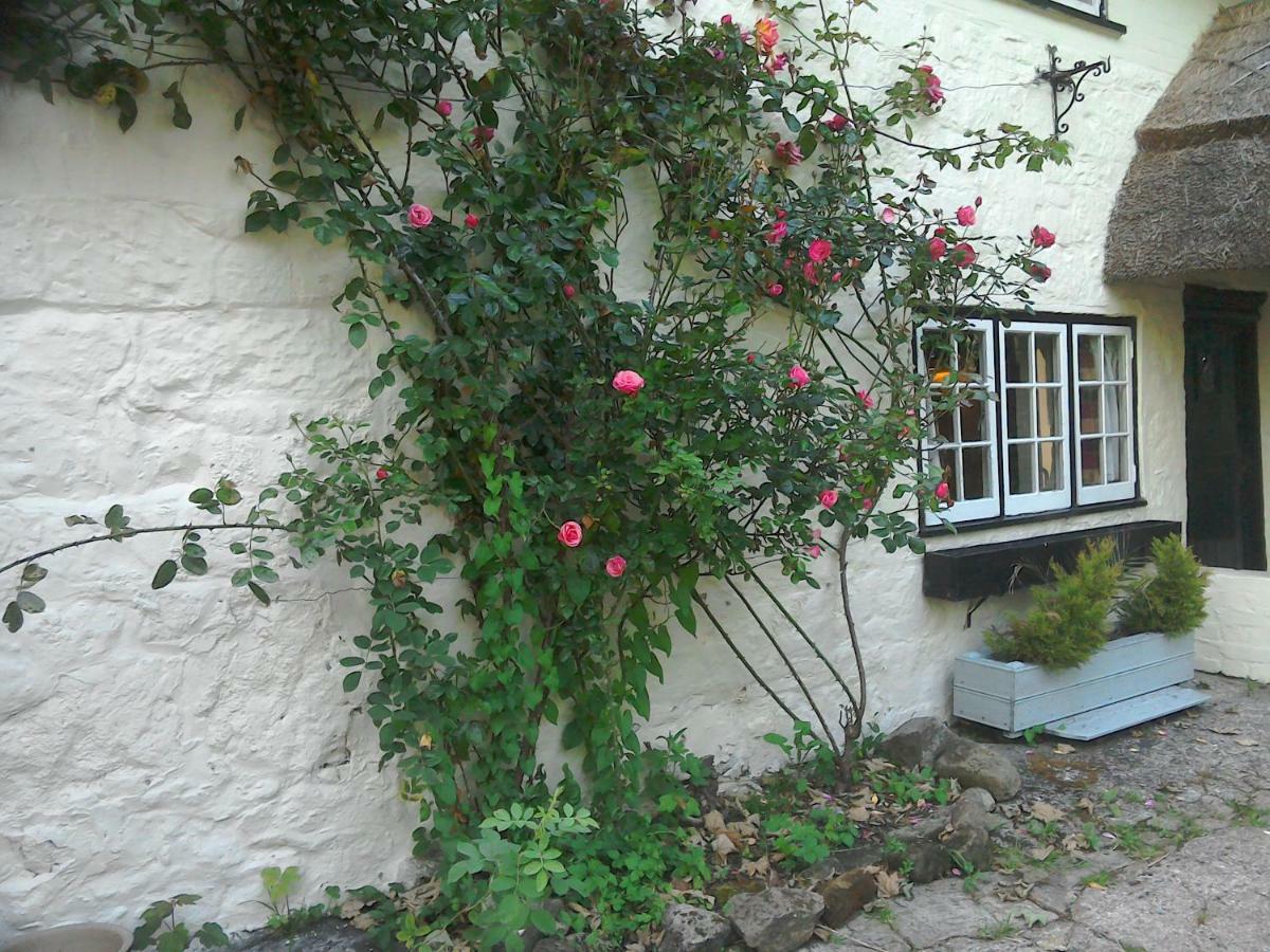 Alvediston The Crown Inn מראה חיצוני תמונה