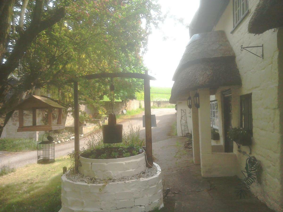 Alvediston The Crown Inn מראה חיצוני תמונה