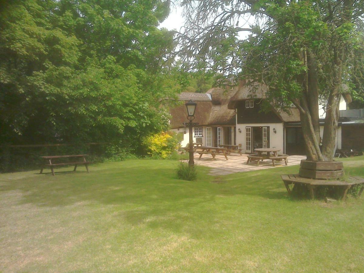Alvediston The Crown Inn מראה חיצוני תמונה