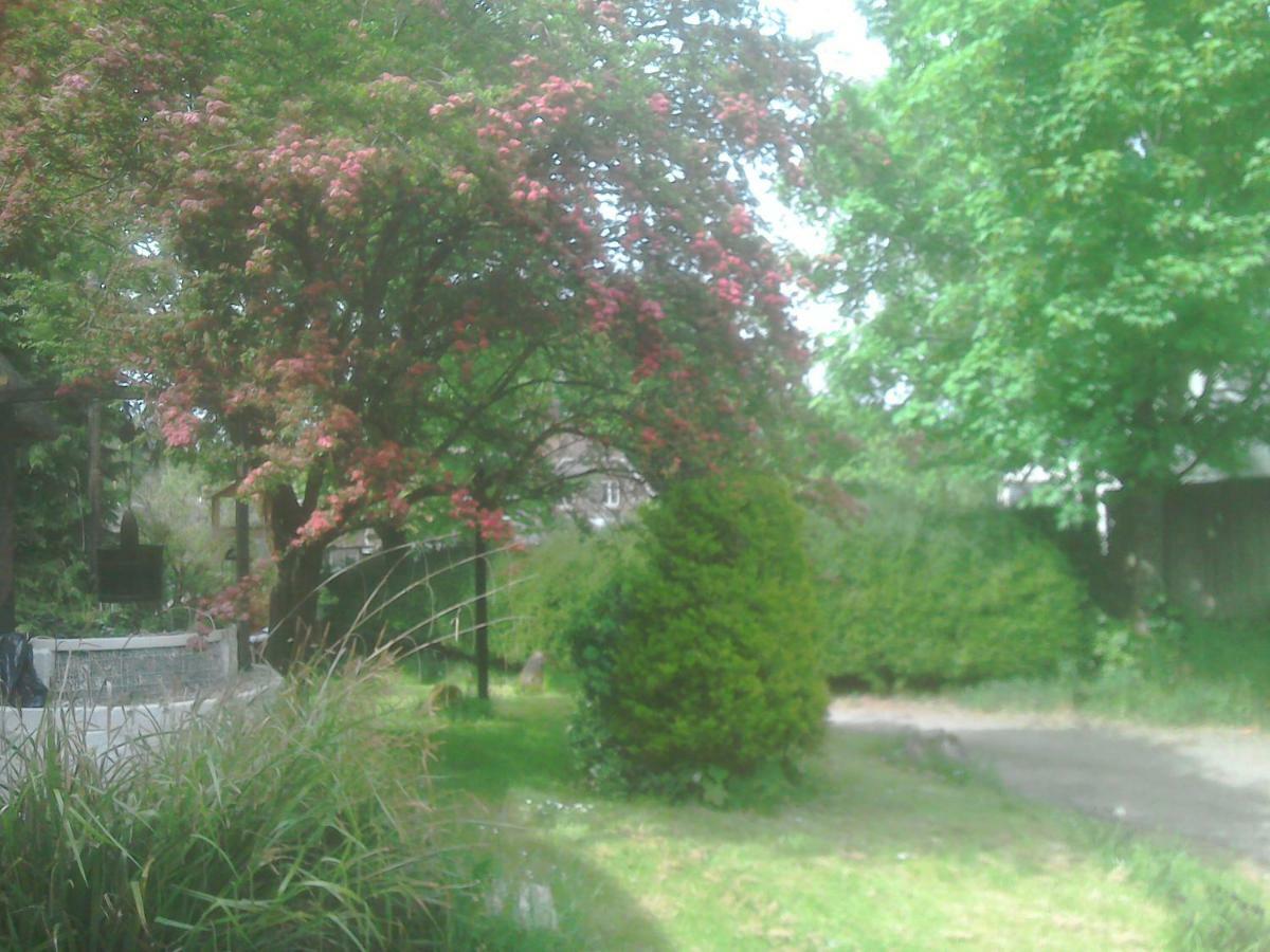 Alvediston The Crown Inn מראה חיצוני תמונה