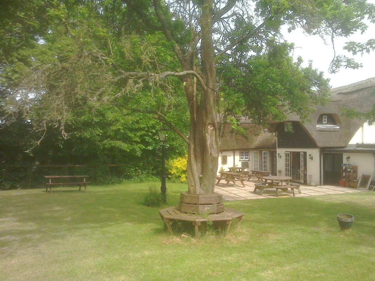 Alvediston The Crown Inn מראה חיצוני תמונה